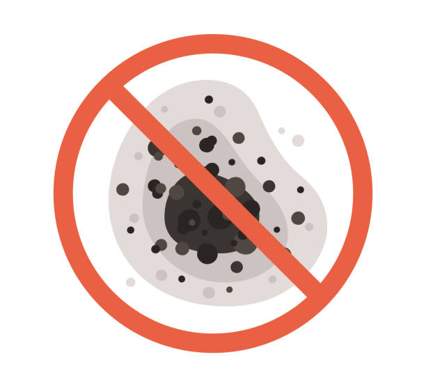 Trusted Sunset, FL Mold Removal Experts